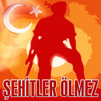 NE MUTLU TÜRKÜM DİYENE