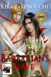 Barbarian's Slave