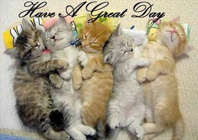 have a great day...