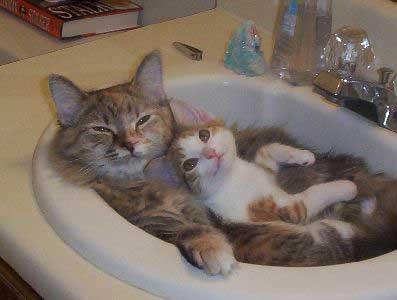 having a little bath