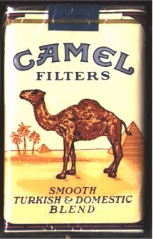 camel