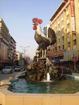 denizli horozu