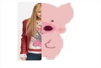 Hannah pig