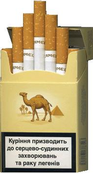 camel
