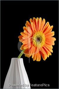 Vase of flowers.