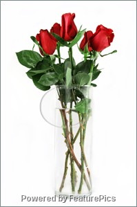 Roes in a vase