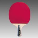 Ping-Pong Paddle