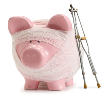 Injured Pig
