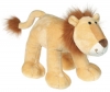 Aslan