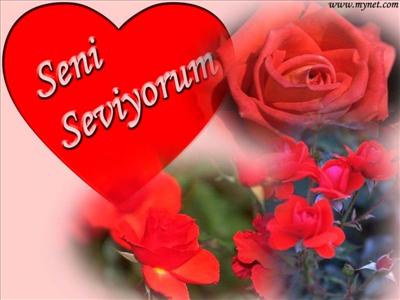 seviyorum