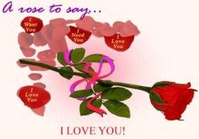 --