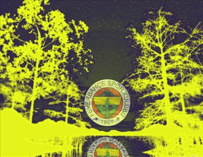 FENERBAHÇEM