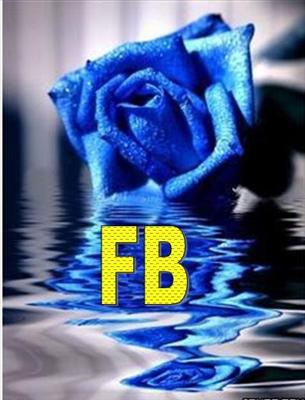 FENERBAHÇEM BENİM BİRİCİK SEVGİLİM... 