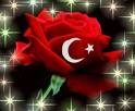 gül