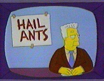 Ant 