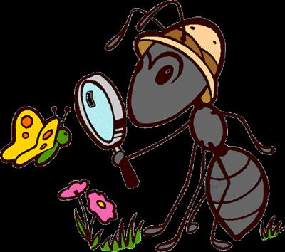 Ant 