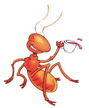 Ant 