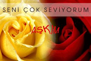 aşkımm