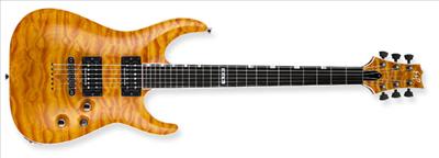 ESP/LTD Custom VA