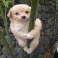 dont look down