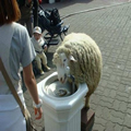 sheep fountain