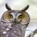 i see you