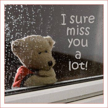teddy bear *miss*