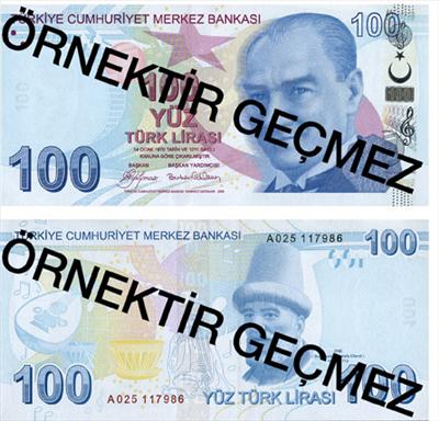 100 TÜRK LİRASI