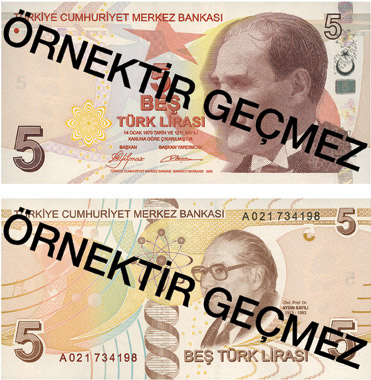 5 TÜRK LİRASI