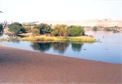 Orilla del Nilo