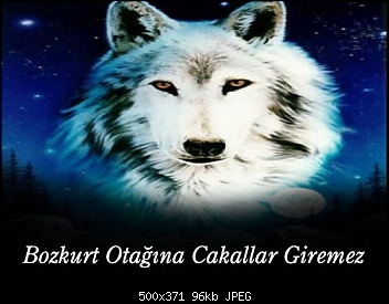 BOZKURT
