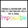 Friendship Like Ours