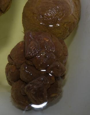 Poo
