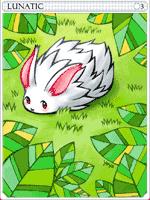 Lunatic Card