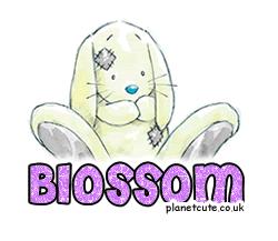 Blossom