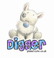 Digger