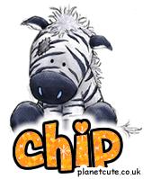 Chip