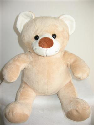 big nose bear