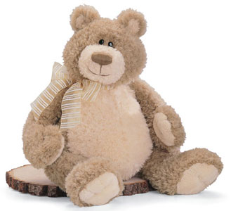 fattty bear