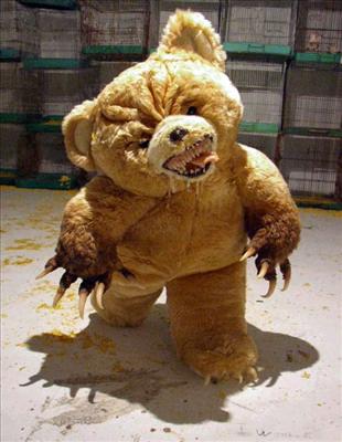 scary bear