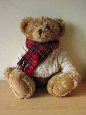 winter bear