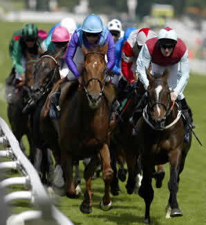 Horse_Racing