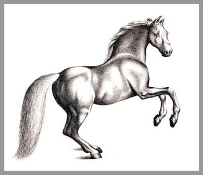 drawing_a_horse