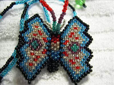 butterfly