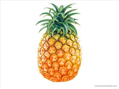 ananas