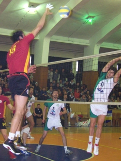 şampiyona