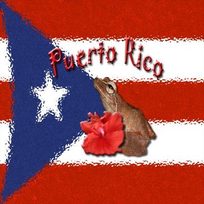 flag 2