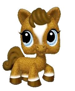 pony