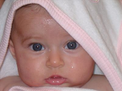 bebek