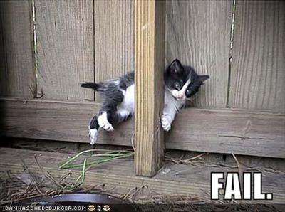 Epyllion Fail